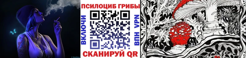 mega зеркало  Новохопёрск  Псилоцибиновые грибы мицелий  где продают наркотики 